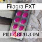 Filagra FXT 09